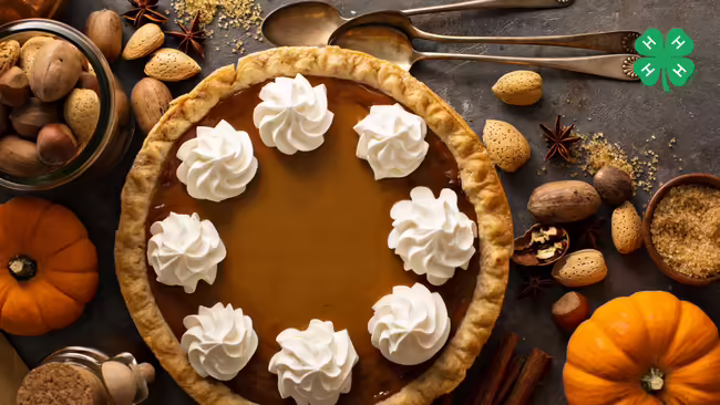 A overhead view of a pumpkin pie surrounded by nuts and pumpkins. A green 4-H clover is in the top right corner.