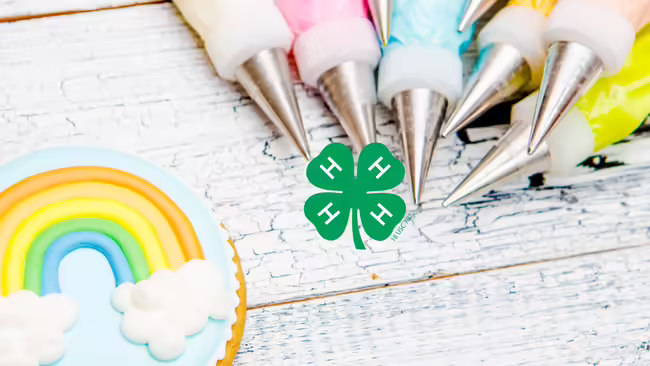 decorated cookie. green 4-H clover. Icing decorator bags.