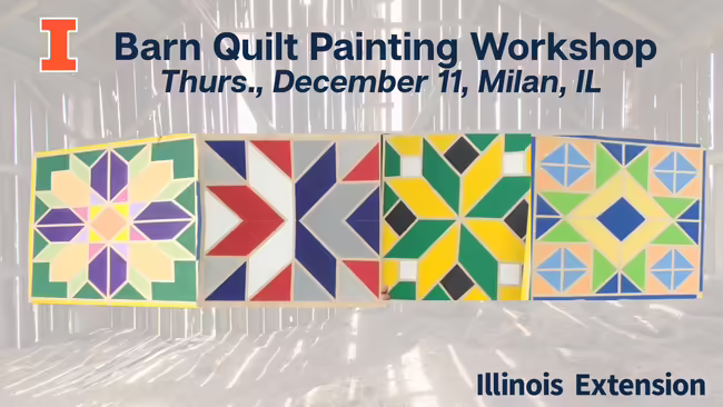 Examples of the four quilt designs they can choose from