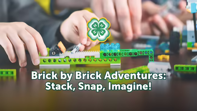 Building Blocks green, blue. Clover