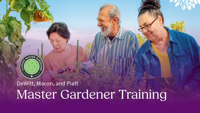 Asian woman, White man, White woman smiling and watering a garden bed.