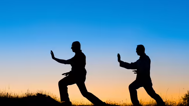 Silhouettes of two people doing tai chi
