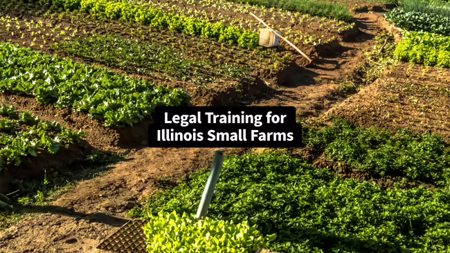 plots of specialty crops growing in rows. 