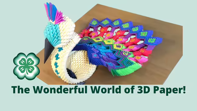 colorful paper peacock, Clover