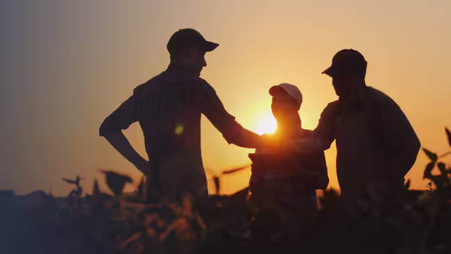 farmers standing in field at sunset