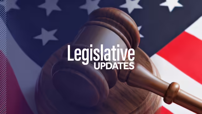 Image of the USA flag and a text "Legislative Updates"