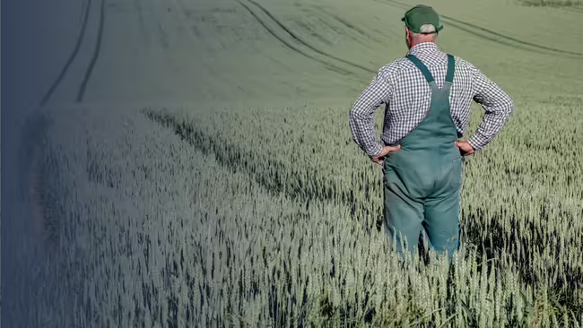 farmer standing in field