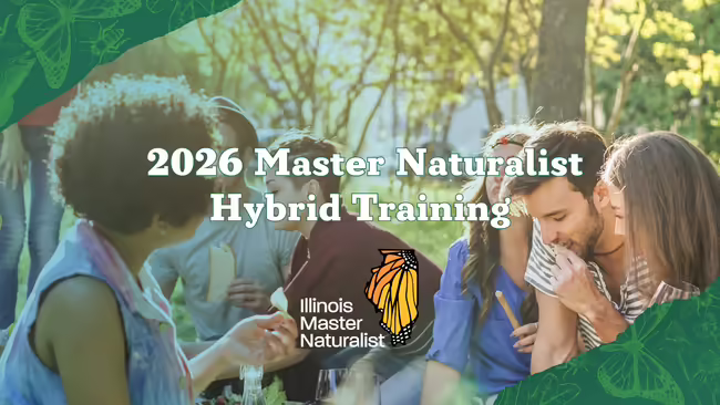 A group of people enjoying food in the forest.