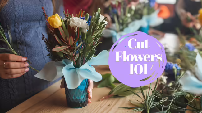 Cut Flowers 101 woman's hand, blue vase, arranging cut flowers