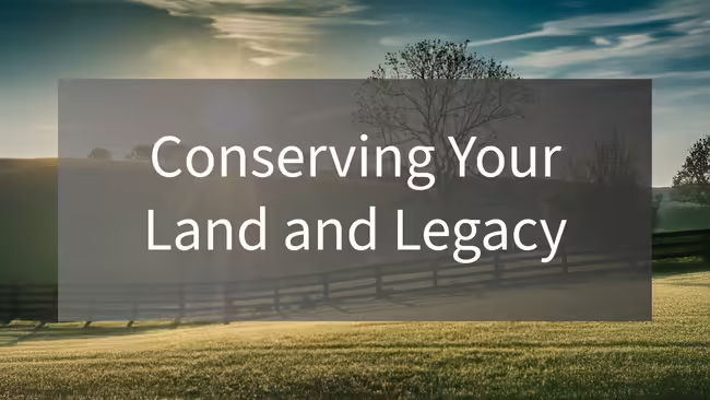 field with fence and tree