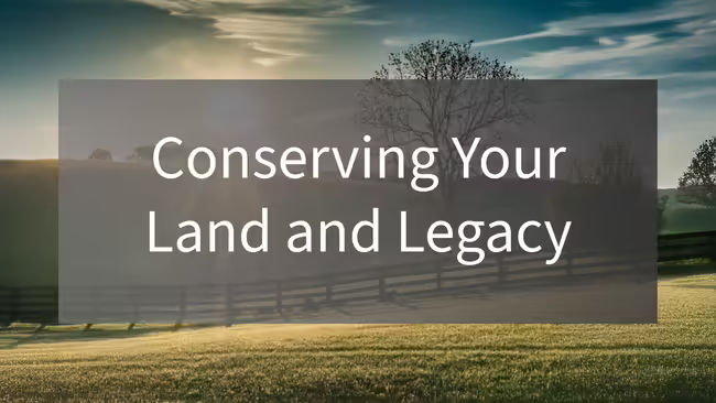 field with fence and tree