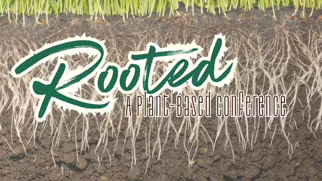 grassroots in soil with word "Rooted"