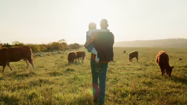 A farmer holding a child while walking through a field with cattle grazing.
