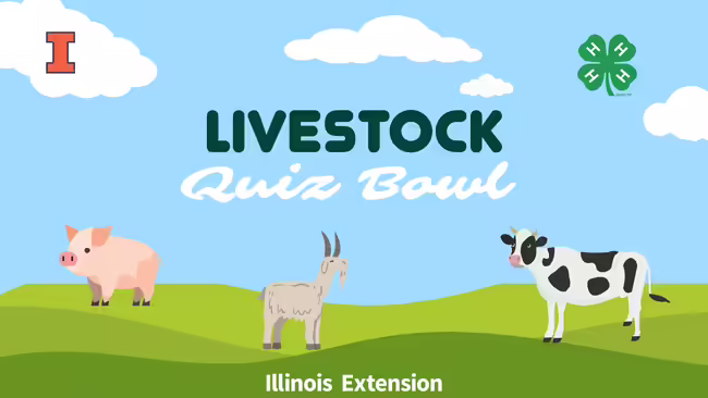 A cow, goat, and pig grazing.