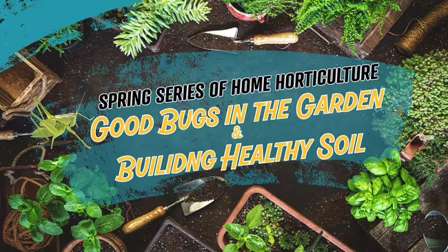 Spring Series week one plants