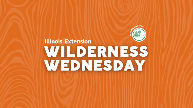 Wilderness Wednesday