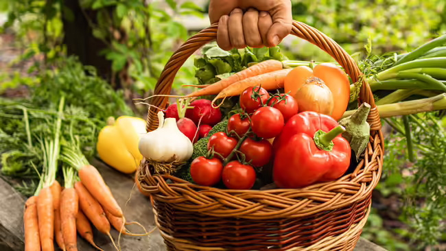 basket with tomatoes, peppers, carrots