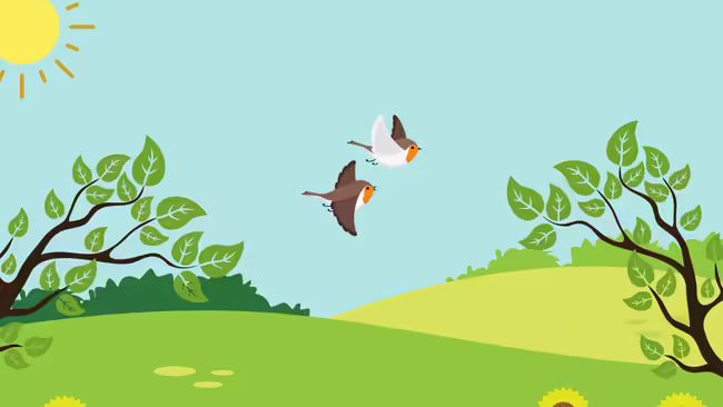 Two brown and white birds flying.