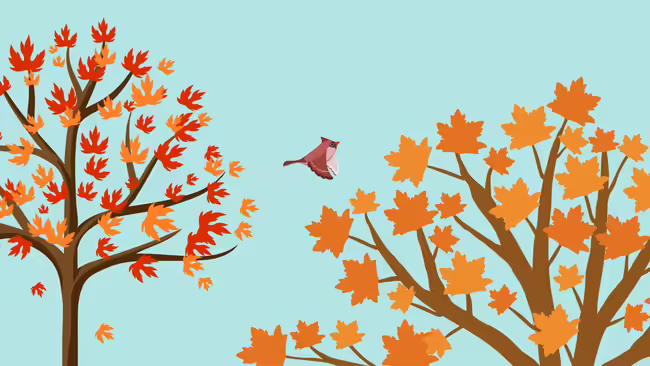 A red bird flying through fall colored leaves.