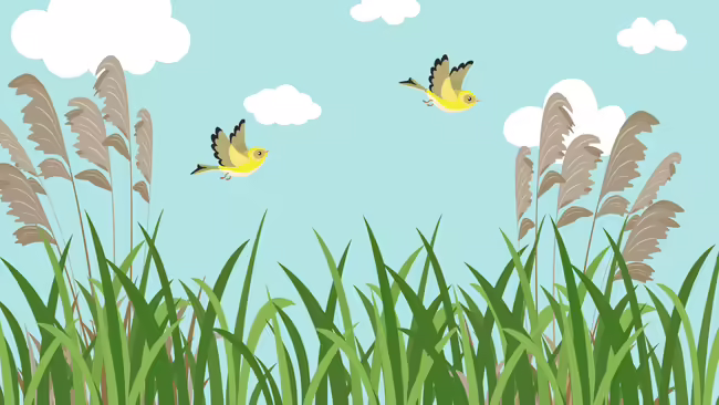 Two yellow birds flying over a field.