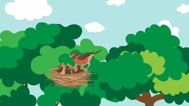 A mother bird feeding her three baby birds in a bird's nest. 