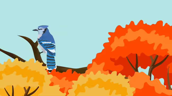 A blue bird sitting on a tree branch looking to the right.