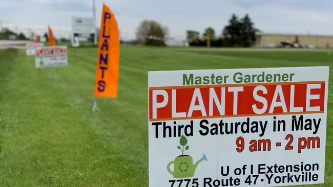 signs out by the road advertising plant sale