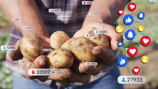 farmer's hands holding potatoes with social media symbols around it