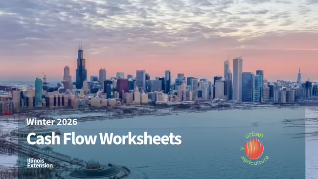 Skyline of Chicago with words "cash Flow Worksheets" superimposed