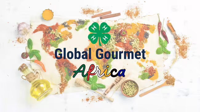 The different continents created with a variety of herbs and spices.