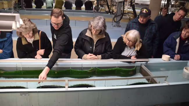 a group of people looking in a fish tank