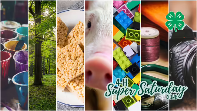 Super Saturday text with 7 different workshop images