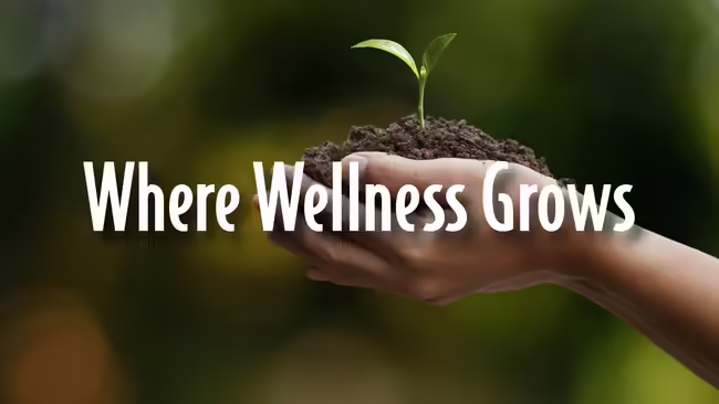 A person holding a plant rooted in soil.