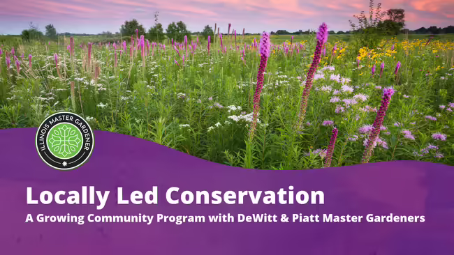 Locally Led Conservation with Piatt County SWCD text over a purple background with a grass prairie pictured in the background