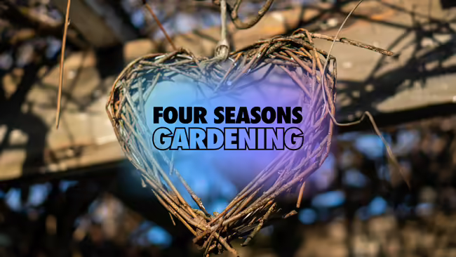 A heart design made from willow branches hanging outdoors for décor