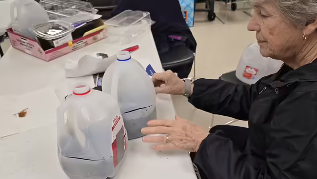 winter sowing examples