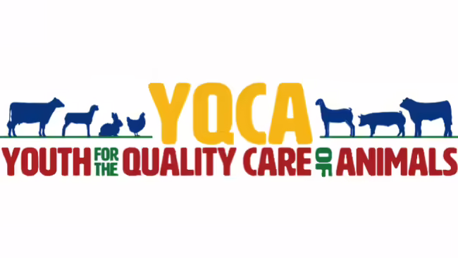 You for the Quality Care of Animals 