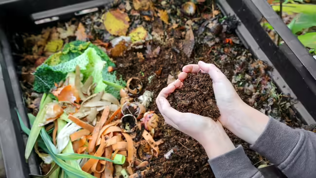 A person putting food scraps into a compost bin 
