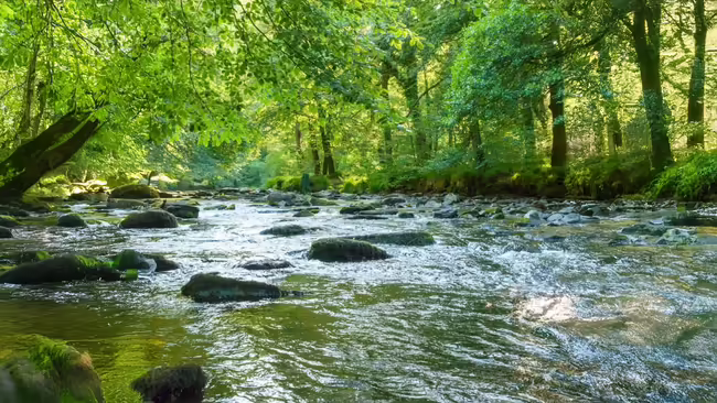 water flowing over river rock