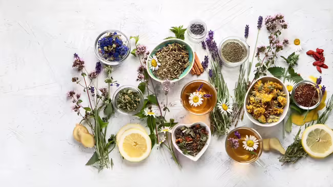 A variety of herbs with cups of tea 