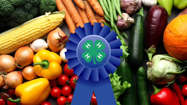 4-H clover on a blue ribbon in front of vegetables