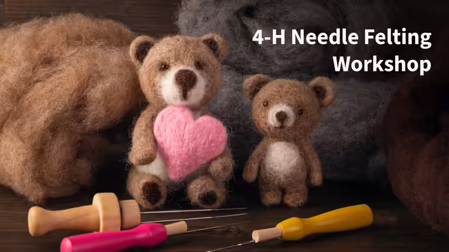 4-H Needle Felting Workshop with supplies and two bears