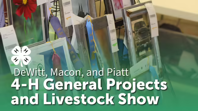 DeWitt, Macon, and Piatt 4-H General Projects show text layered over a photo of projects with ribbons