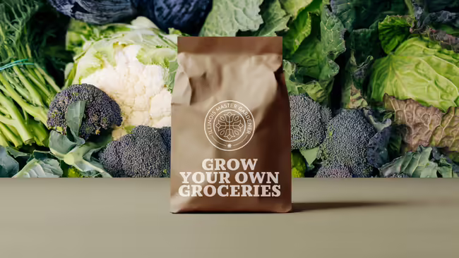 Grow your own groceries, broccoli
