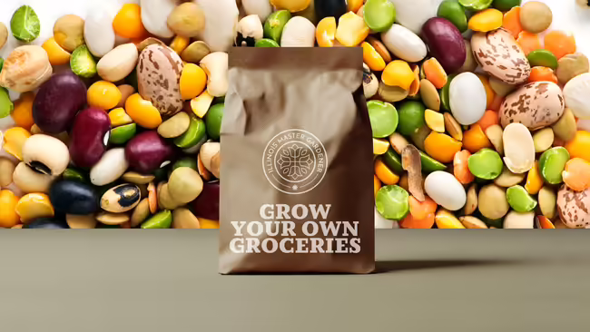 Grow your own groceries, peas