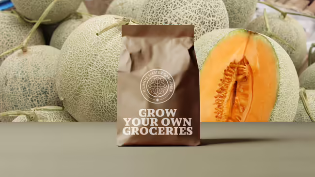 Grow your own groceries, melons