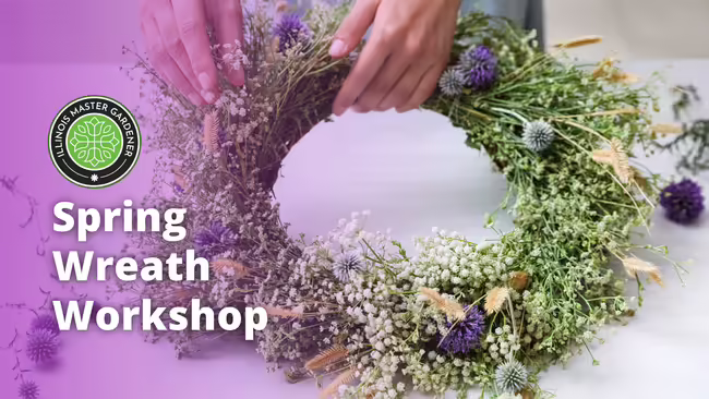 Hands holding green wreath with small white flowers and bigger purple flowers.