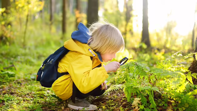 A child with a magnifying glass looking at a fern in the forest 