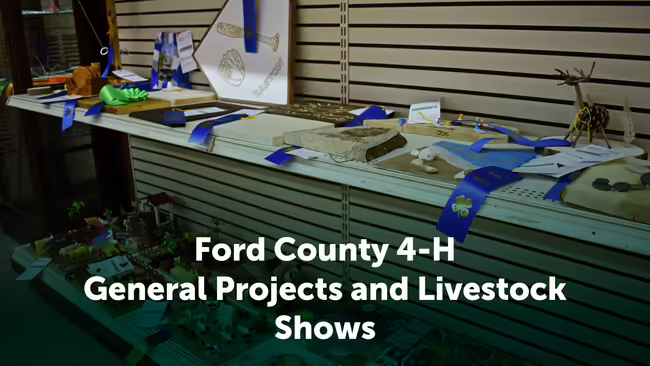 Ford County 4-H General Projects and Livestock Shows