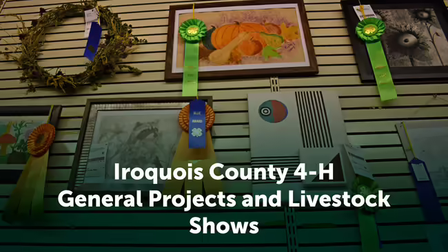 Iroquois County 4-H General Projects and Livestock Shows